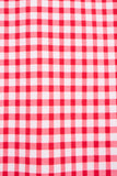 RED GINGHAM SKIRT